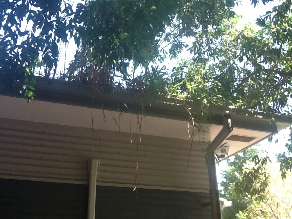 Blocked gutter at a school