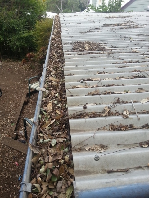 Blocked gutters on a corrugated roof