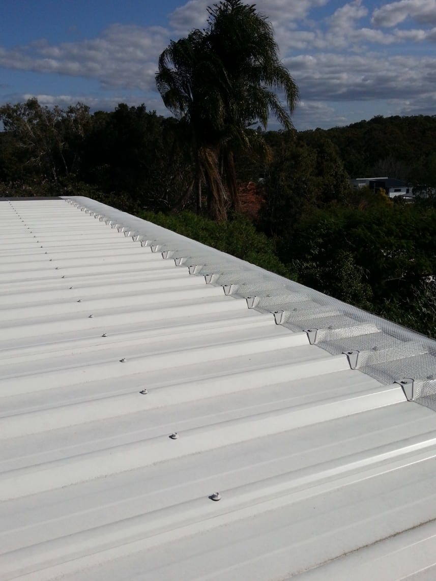 Ember on modern trimdek roof