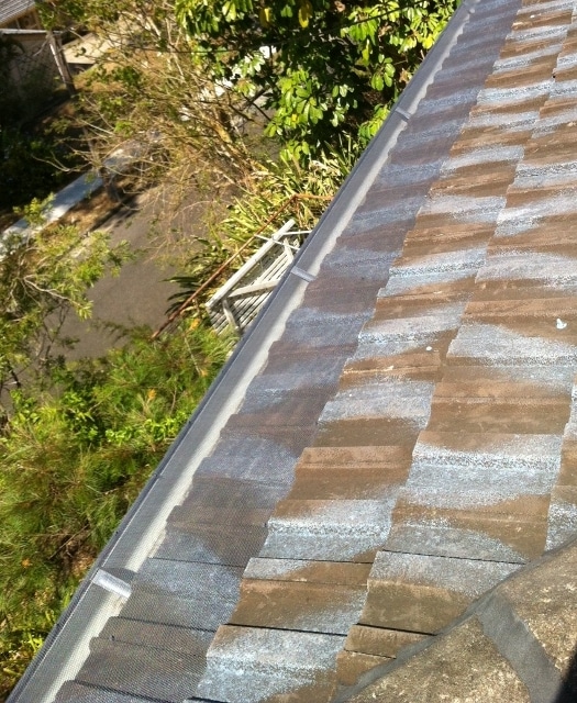 Fire guard on tile roof