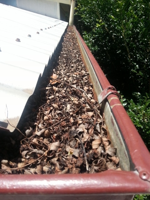 Gutter blocked up