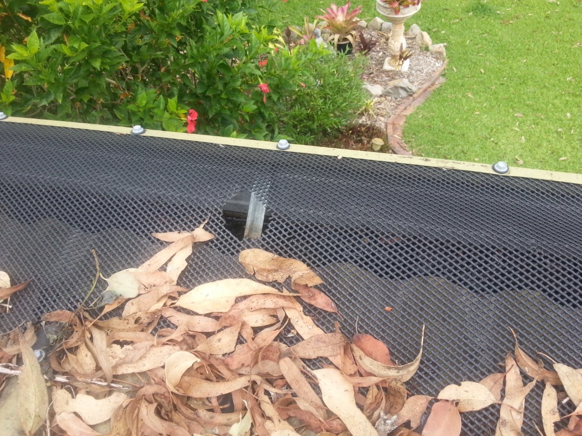 Rats have eaten holes in this plastic gutter guard