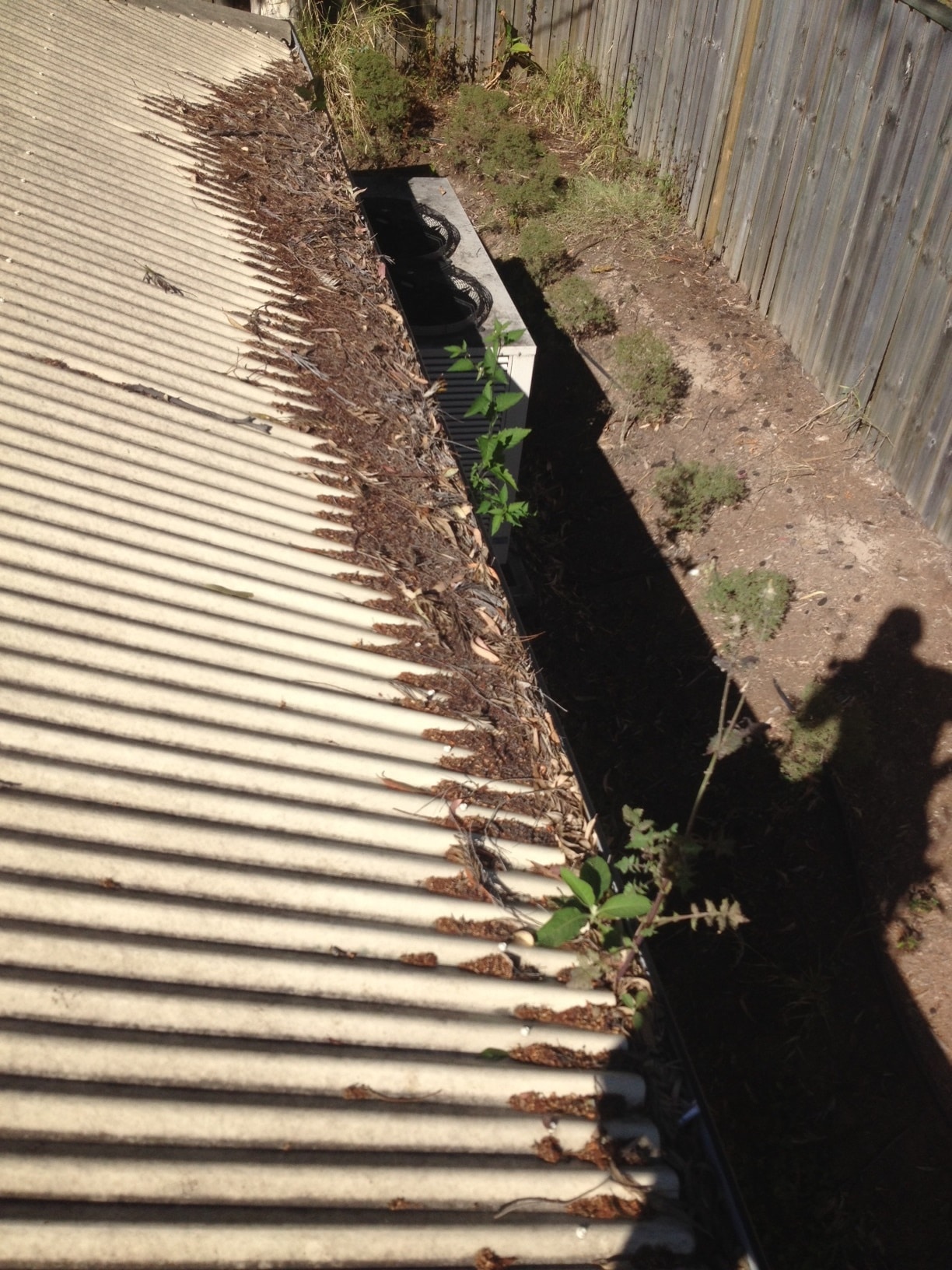 blocked up gutter with debris and weeds growing