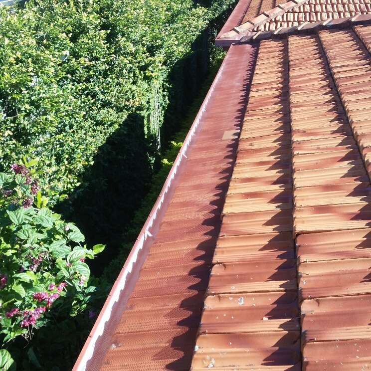 does a great job of keeping leaves and debris out and also look great