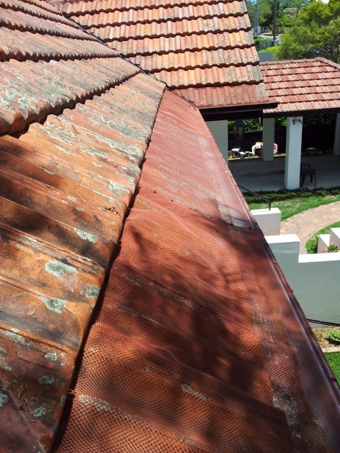 gutter mesh is powder coated to best suit all roof colours
