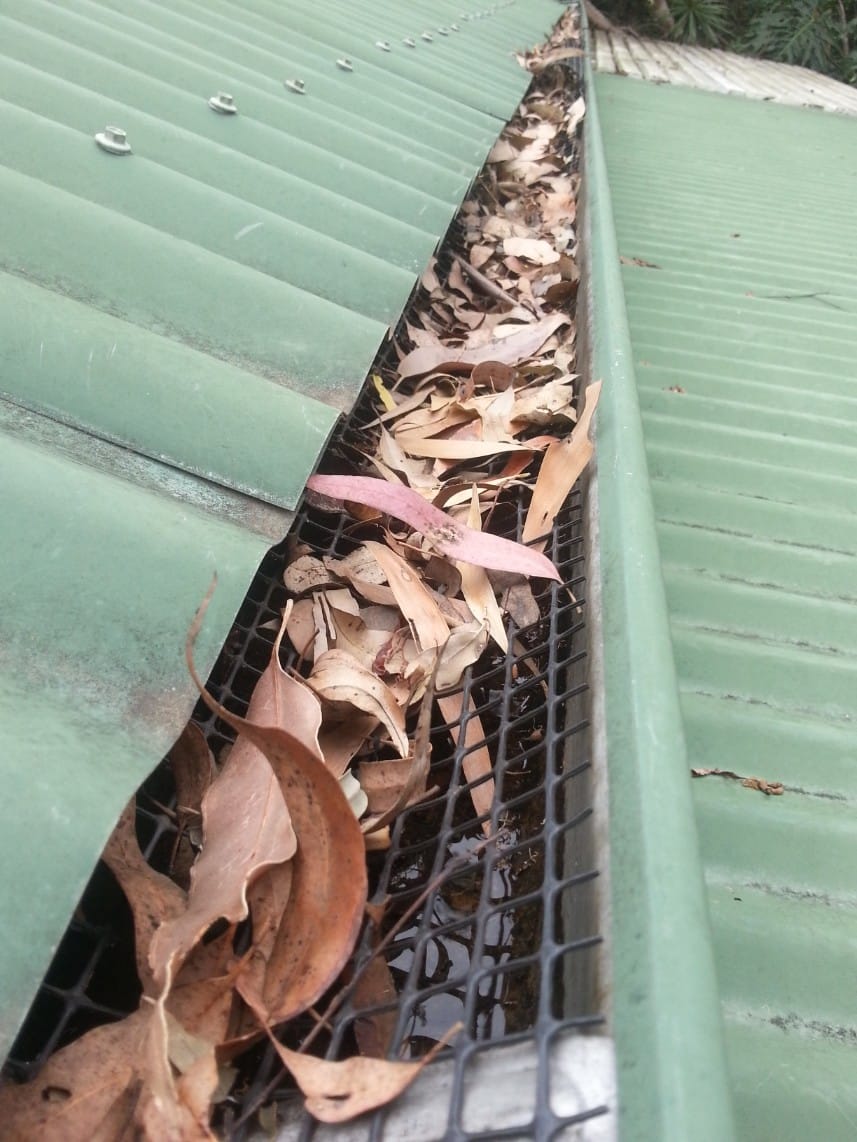 hardware DIY gutter mesh sagging under weight of leaves