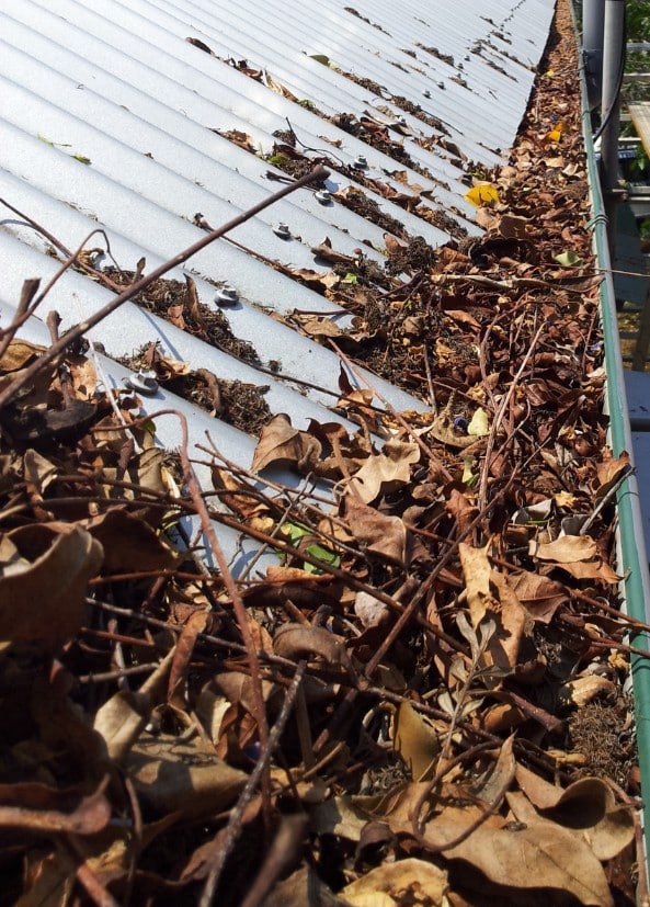insurance claims due to water problems can be denied due to lack of maintenance