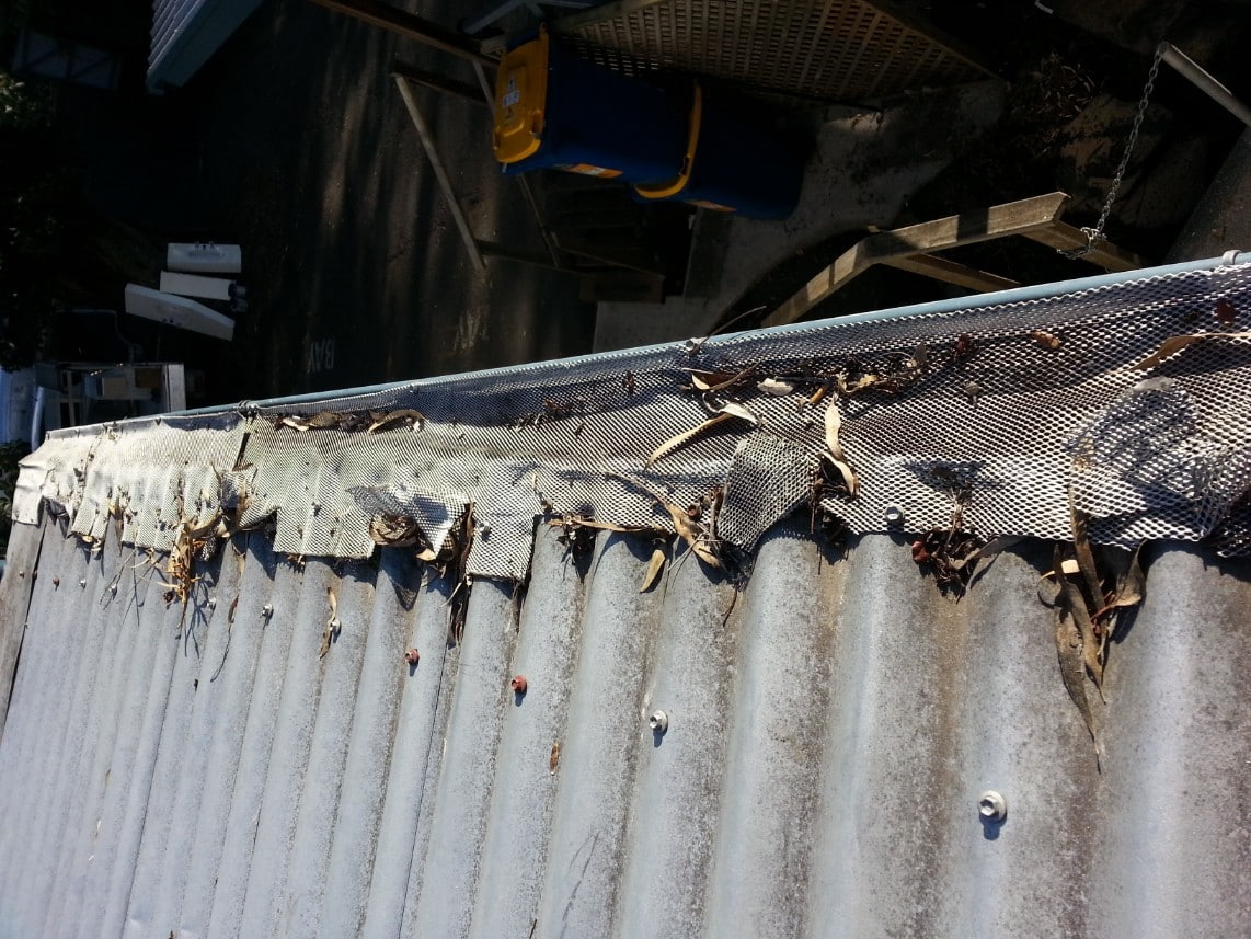 just absolute garbage on a commercial premises