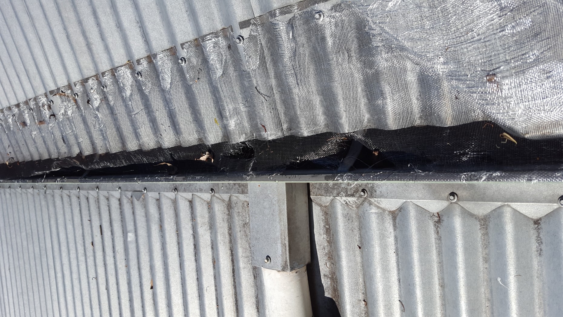 stick on gutter mesh product wastes away